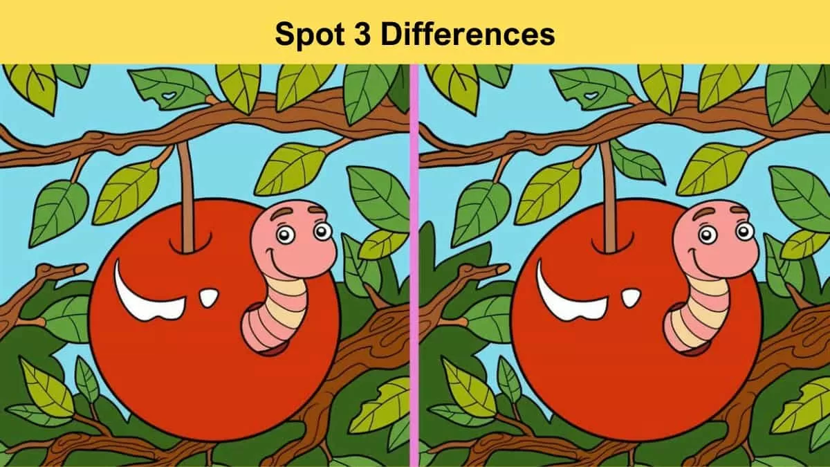 Spot 3 differences between the fruit and the worm pictures in 12