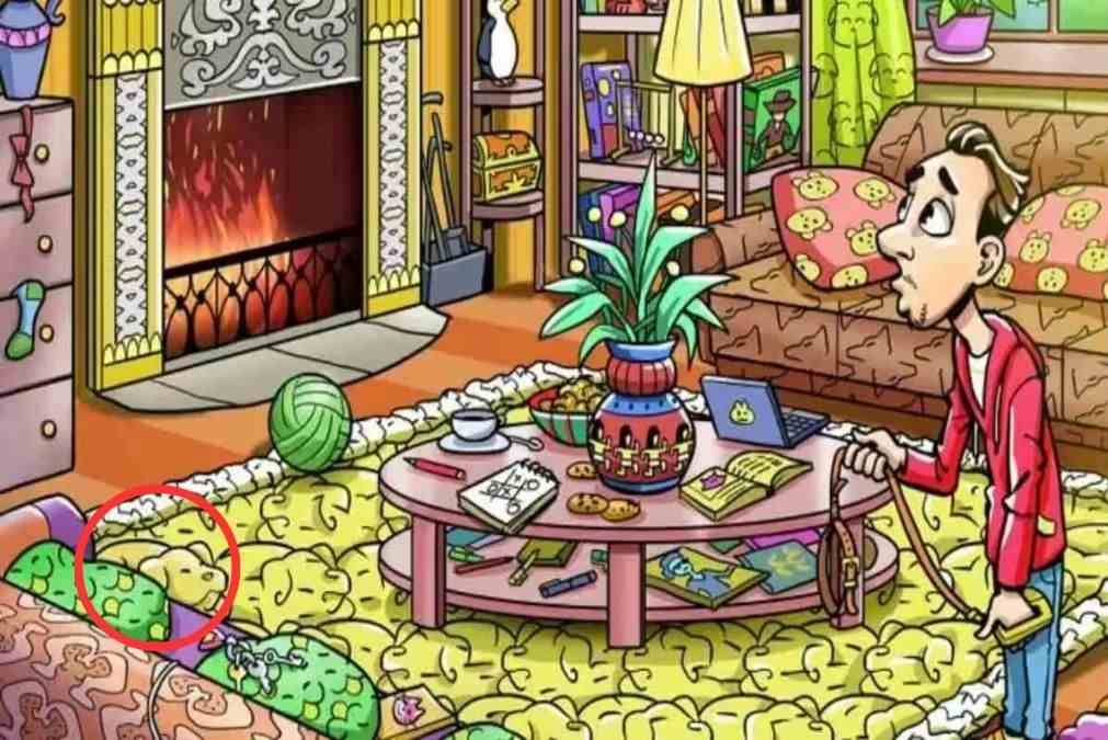 hidden animals optical illusions iq test