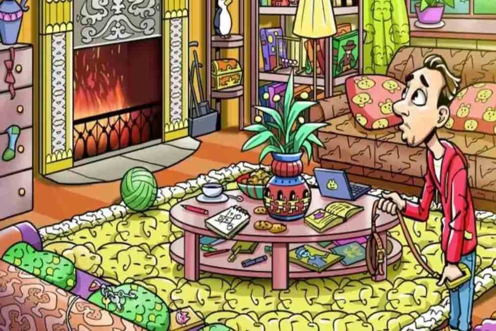 hidden animals optical illusions