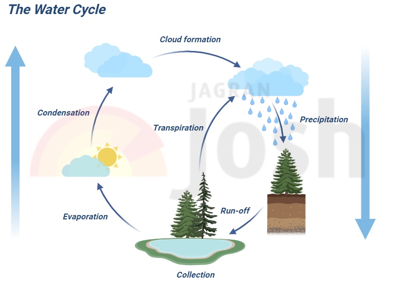 How to draw Water Cycle Process | Water cycle project drawing - YouTube