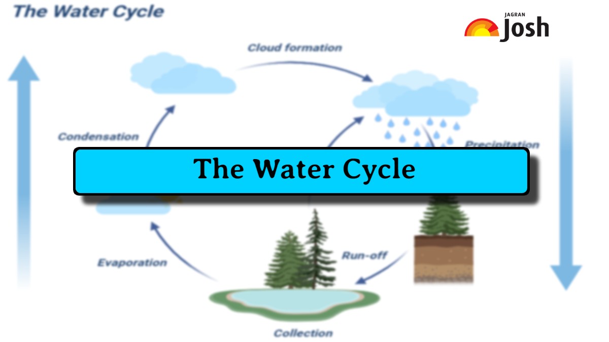 Draw a labelled diagram showing the water cycle. - Sarthaks eConnect |  Largest Online Education Community