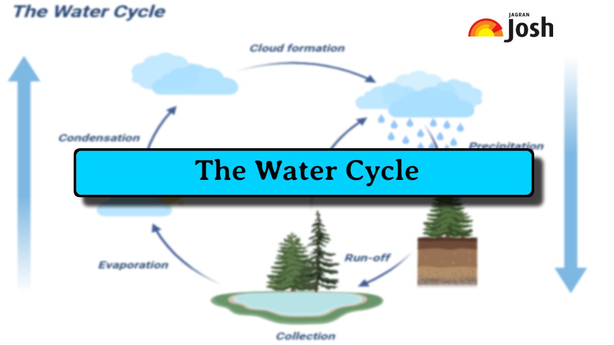 Evaporation Diagram Dynamic And Complex The Global Water Cycle