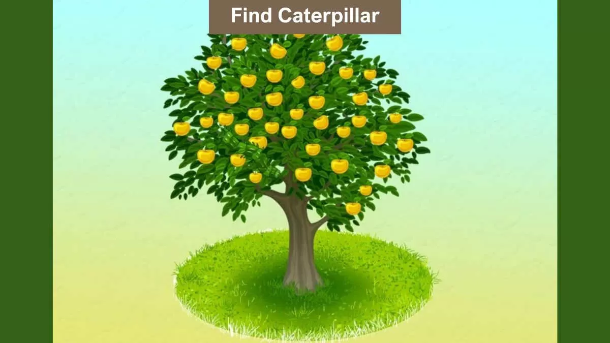 Optical Illusion Challenge for Geniuses: Find the caterpillar in the tree in 6 seconds
