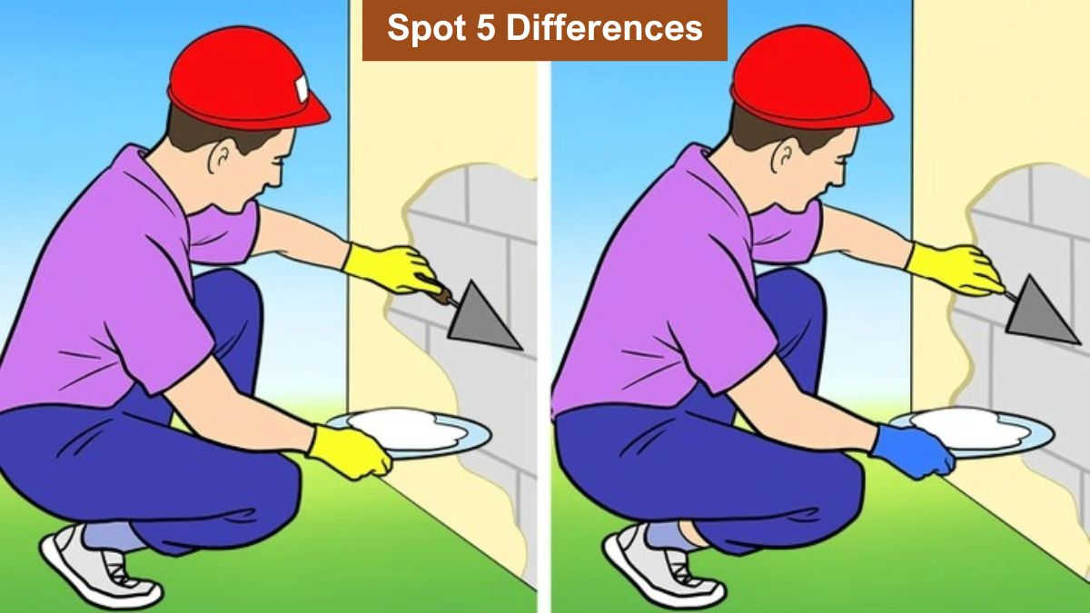 Spot 5 differences between the two builder pictures in 15 seconds! - Vimarsana News