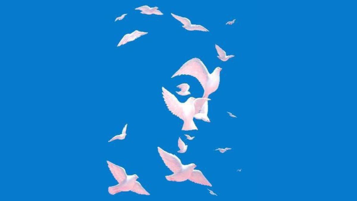 Optical Illusion Vision Test: Can You Spot A Face Hidden Among Birds In 5 Seconds?
