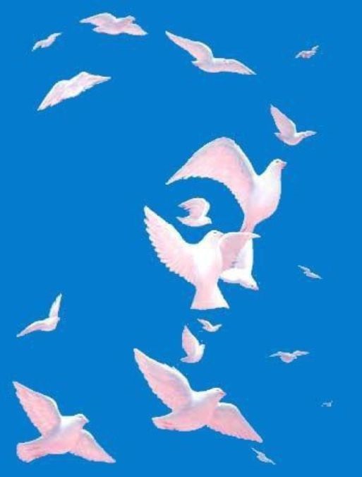 hidden face optical illusions