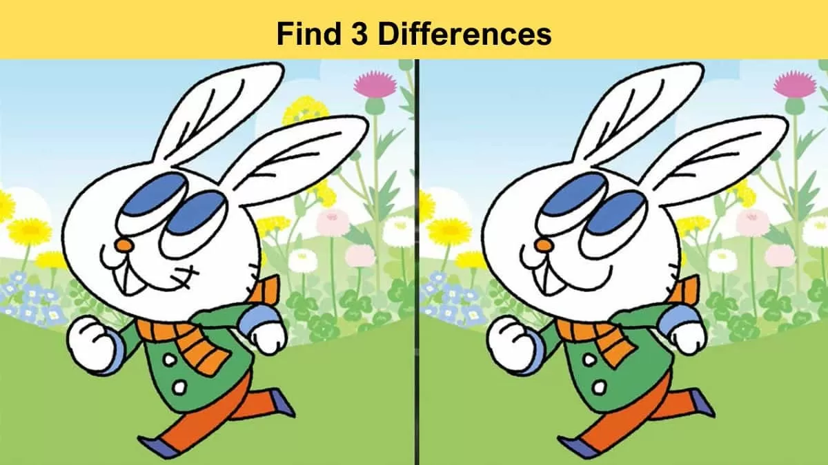 Spot 3 differences between the two running rabbit pictures in 8 seconds