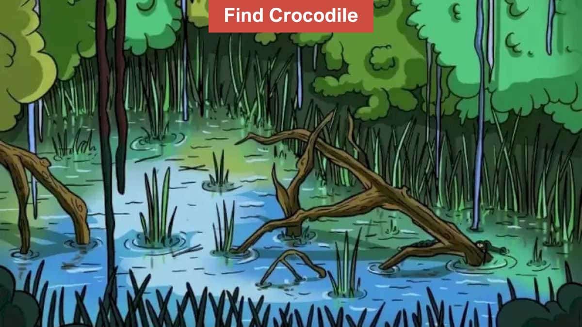 You have the most attentive eyes if you can spot a crocodile in the swamp in 9 seconds!