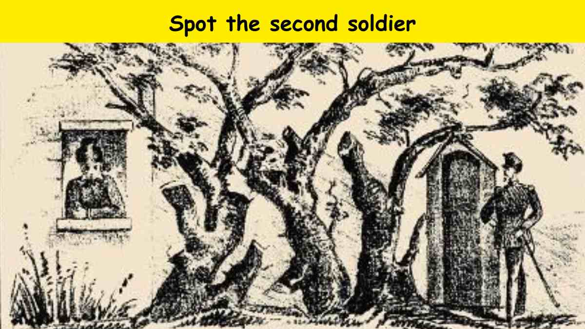 How sharp are your eyes? Spot the second soldier in the graphic within 8 seconds.