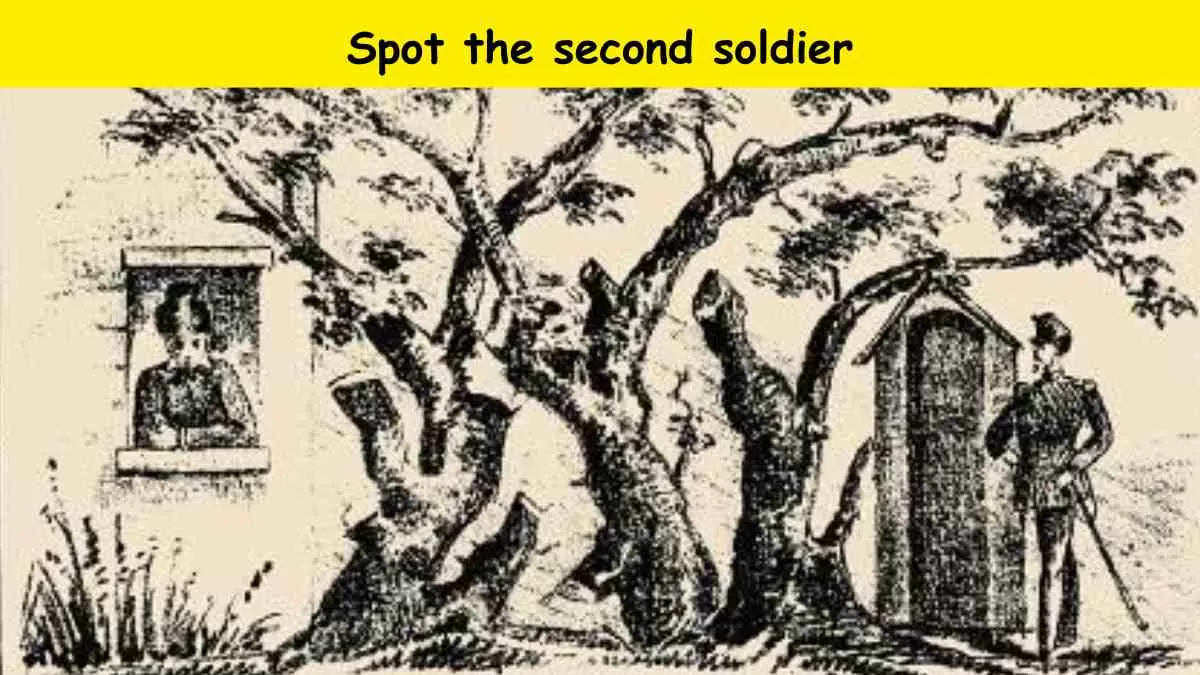 Optical Illusion- Spot the second soldier in 8 seconds