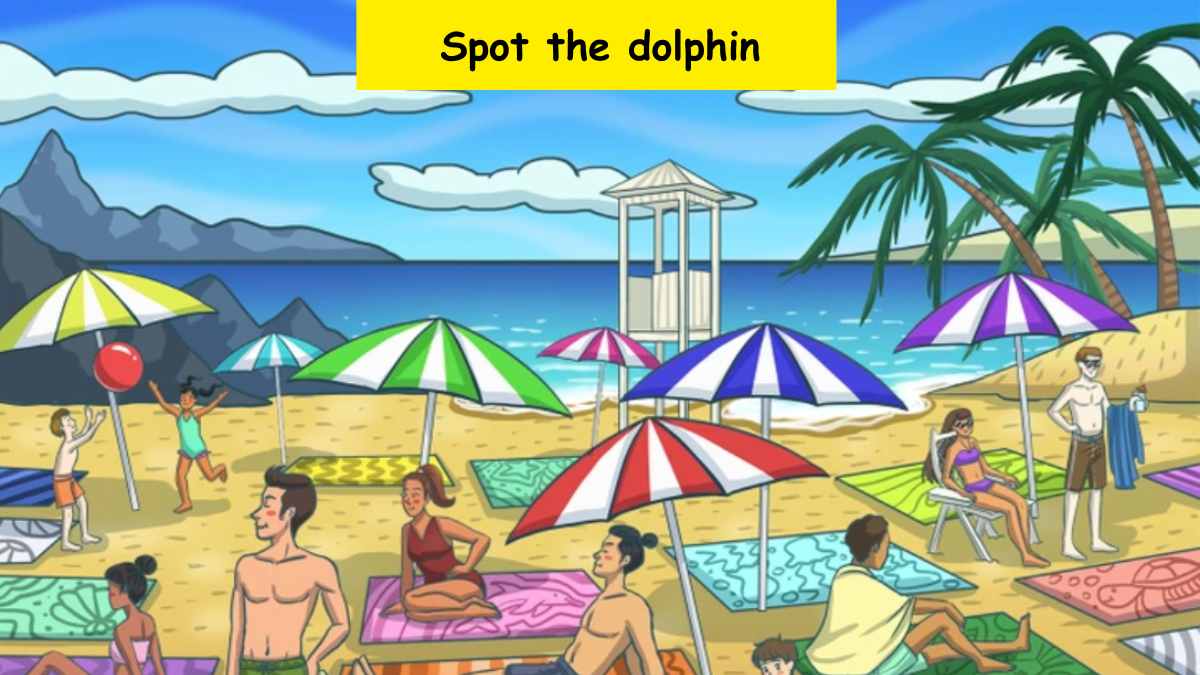 Only eagle eyes can spot the dolphin at the beach in 6 seconds!