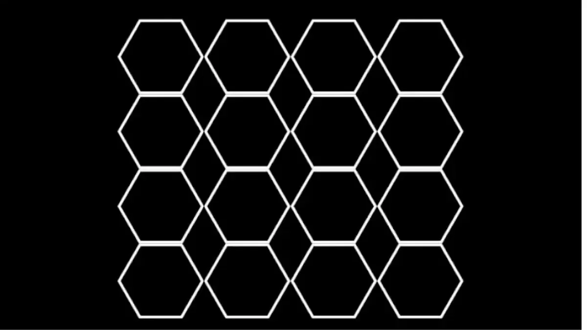 How Many Hexagons Do You See In The Picture? 