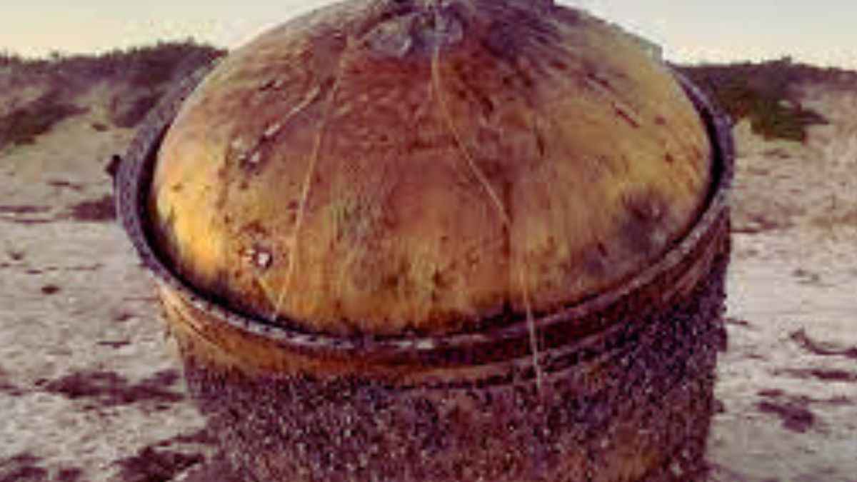 A mysterious object was found on beach in Australia. The object is confirmed as a rocket of ISRO. Here's everything you need to know