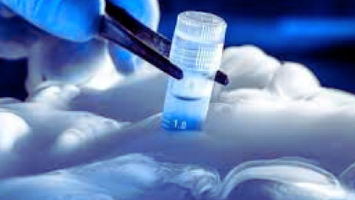 How can an organ be deep frozen? Here's how scientists have cracked the way to bring an organ back to life!