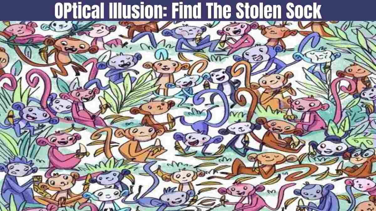 Optical Illusion: Can You Find The Sock stolen by the Monkey?