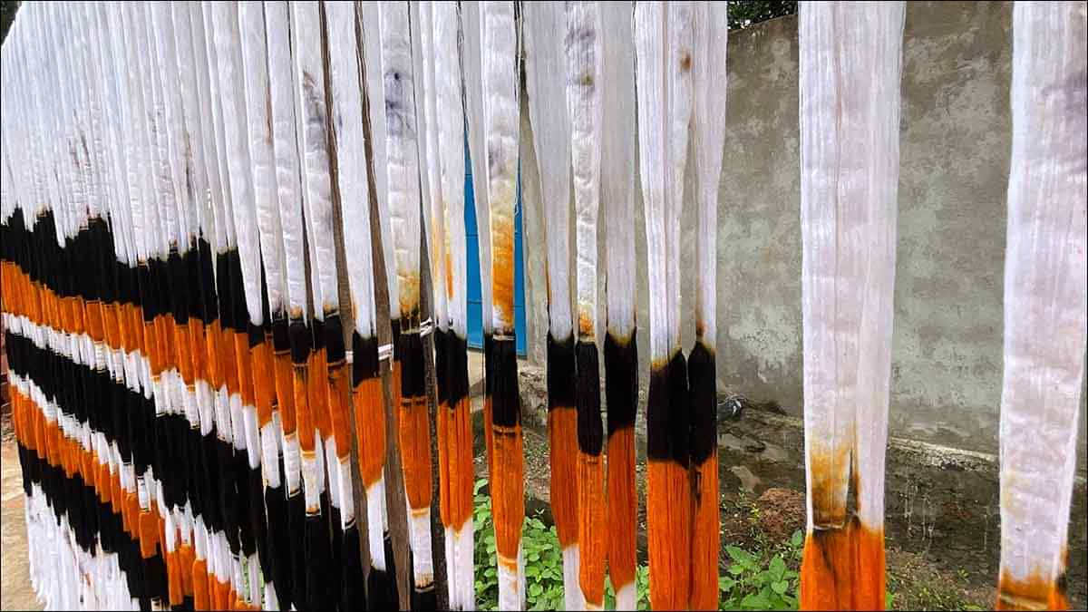 Threads of Tradition and culture unite: NIFT Students and Single Ikat Artisans Spin a Vibrant Tale of India's Weaves