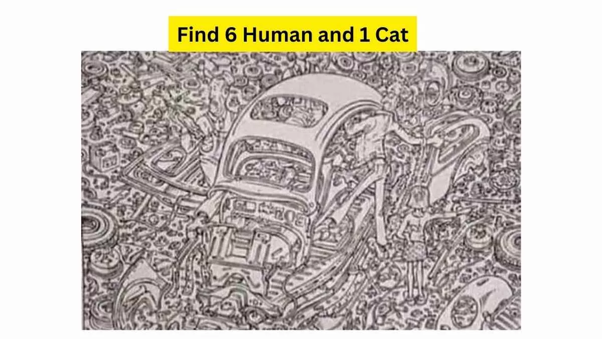 Can You Solve This?