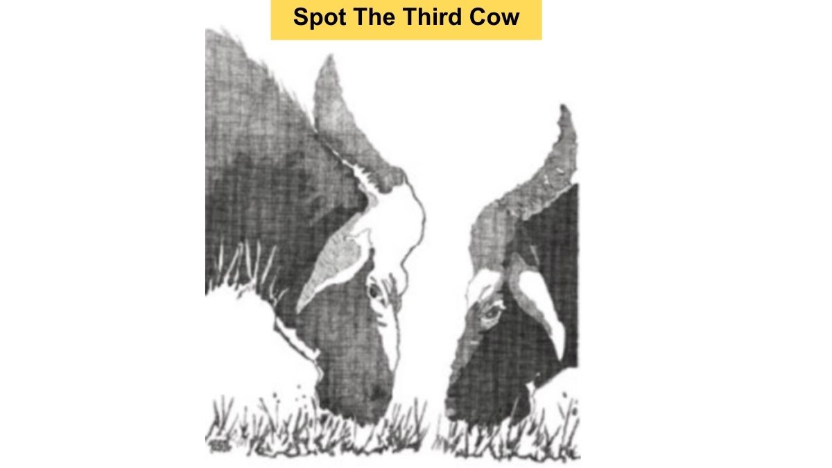There are 3 cows in this picture… Can you spot the third cow in 10 seconds?