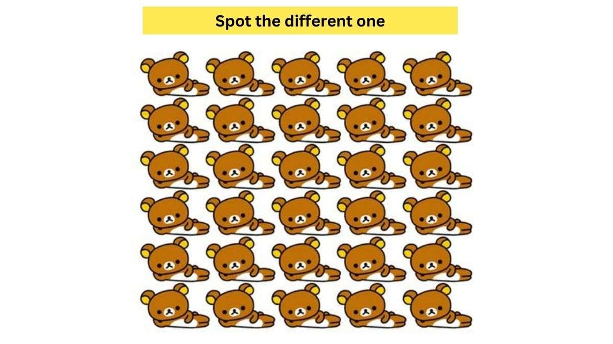 Only The Sharpest Eyes In The World Can Spot The Different Teddy Bear Within 10 Seconds! 