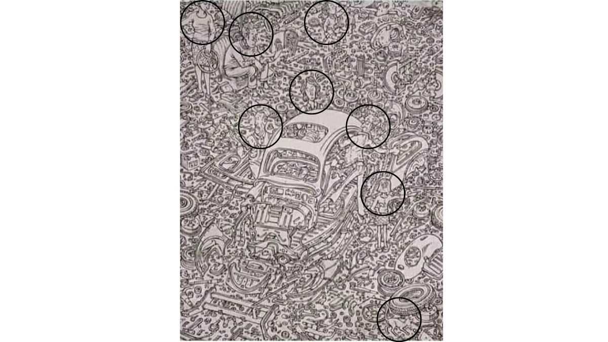 the human and cats are here