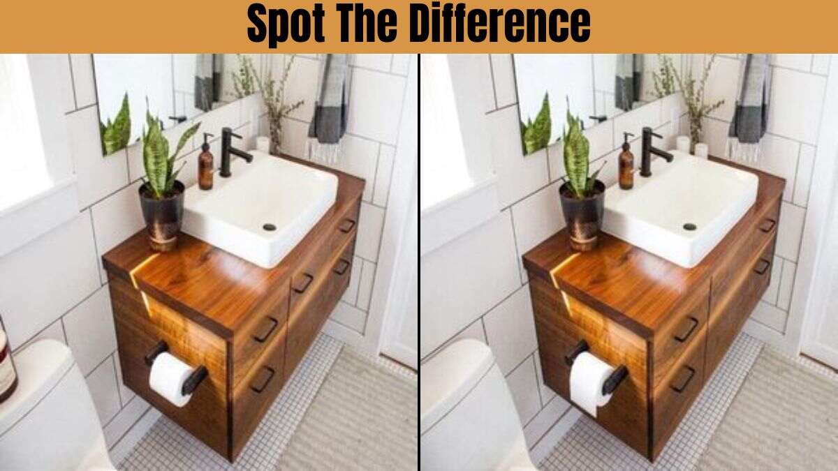 Can you find all the cleverly concealed variations in these two images?