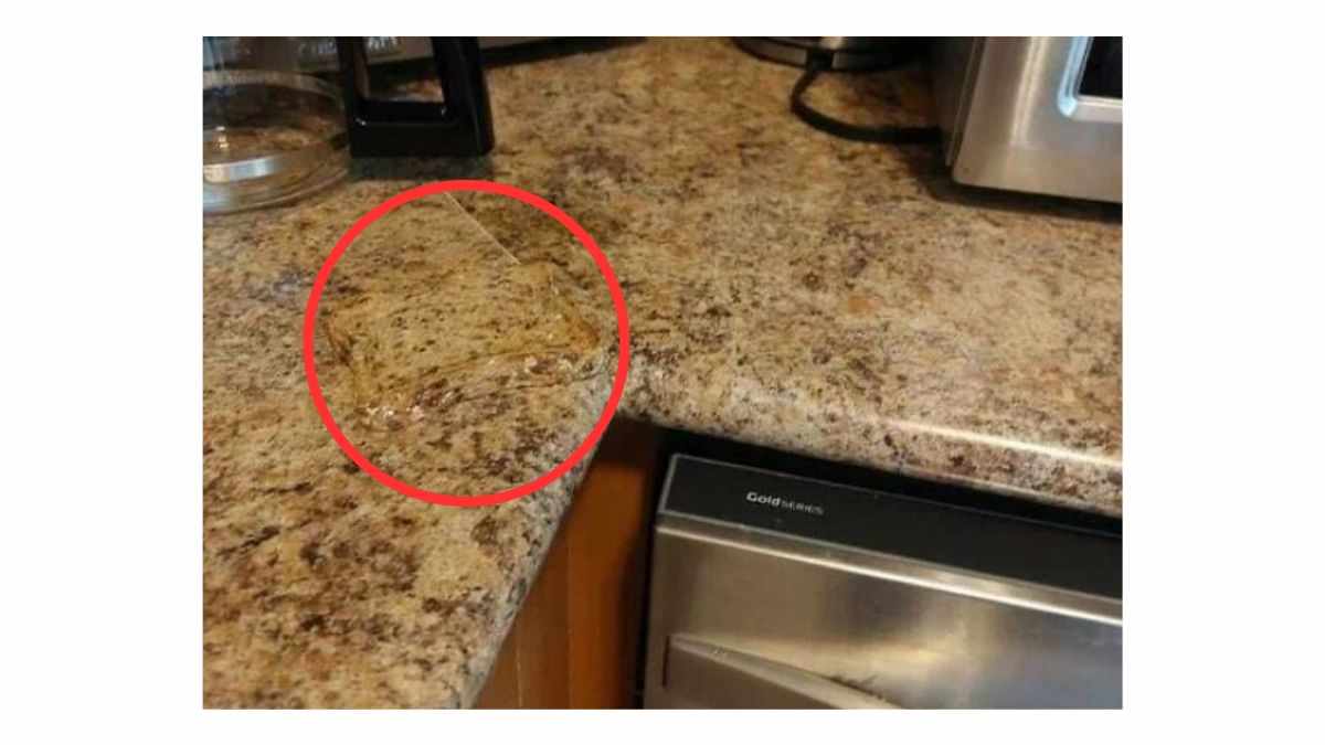 the piece of sandwich is here