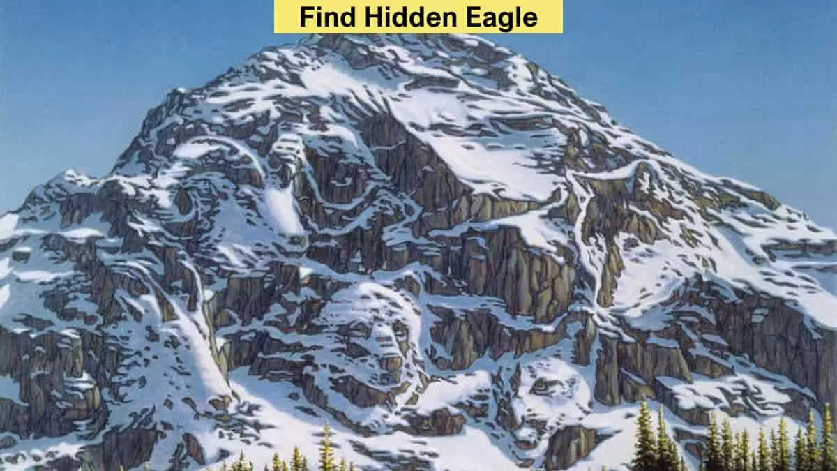 Find the Second Eagle in 5 Seconds