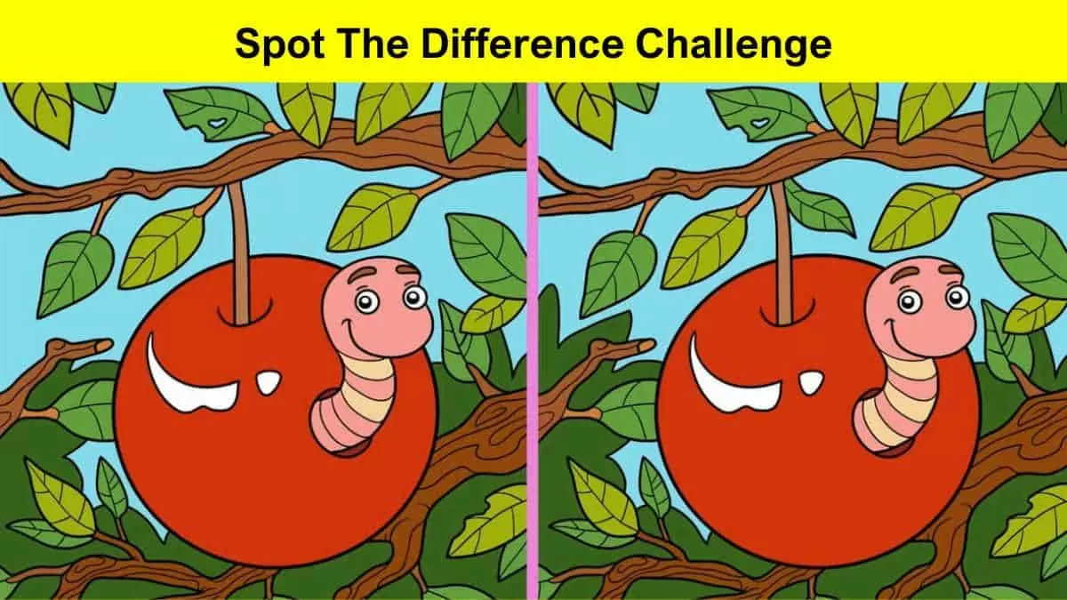 Spot the difference challenge