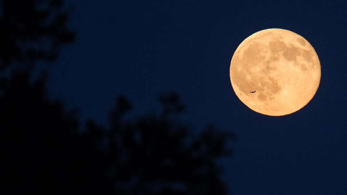 Super Blue Moon 2023 in August Date, Time and Importance of Full Moon