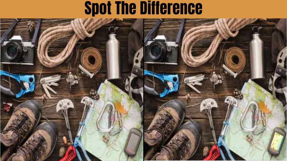 Can You Make A Record By Finding These Differences In 11 Seconds