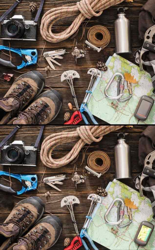 Spot The Difference: Spot These 5 Differences In 11 Seconds