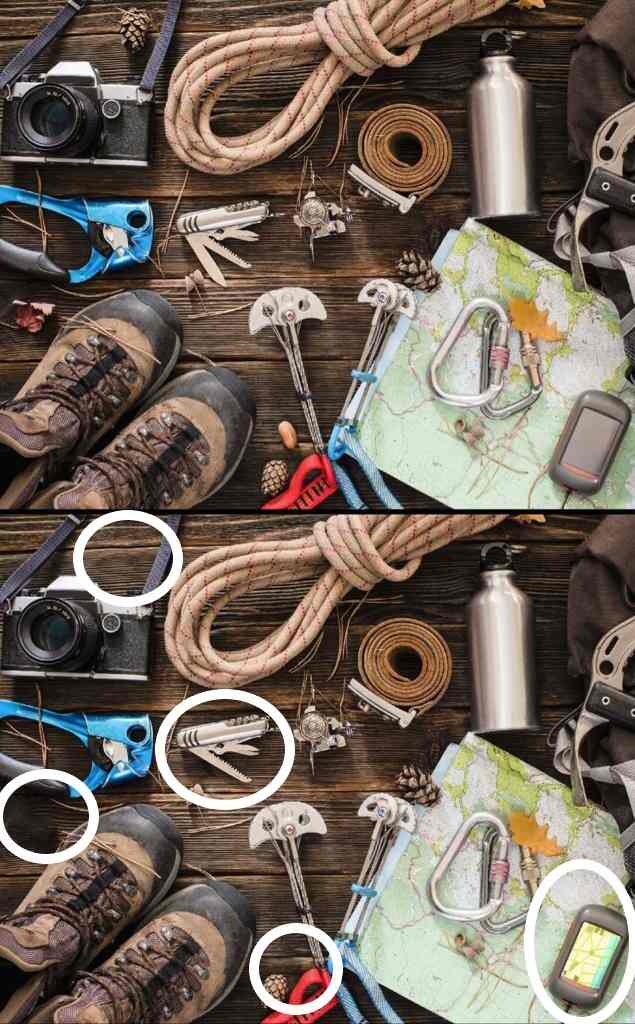 Spot The Difference: Spot These 5 Differences In 11 Seconds