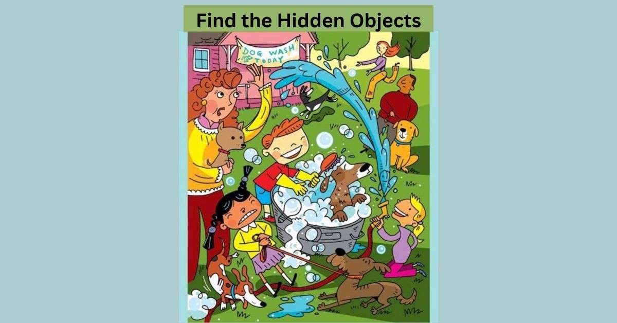 Challenge Your Brain: Can You Spot All 12 Objects in This Seek and Find Puzzle?