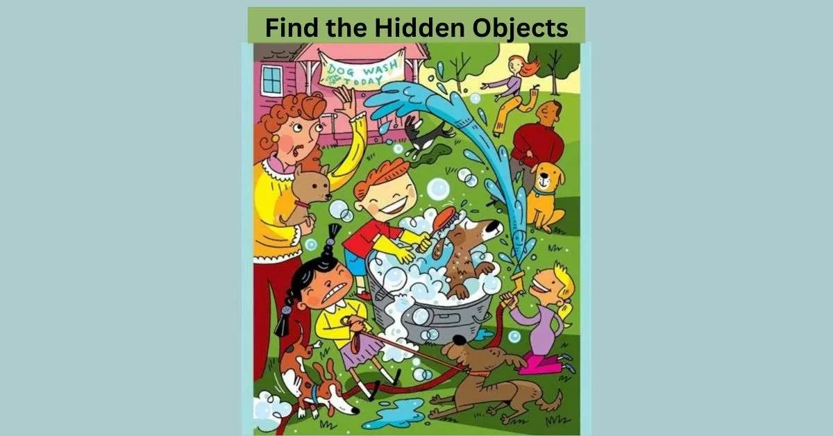 Challenge Your Brain: Can You Spot All 12 Objects in This Seek and Find Puzzle?