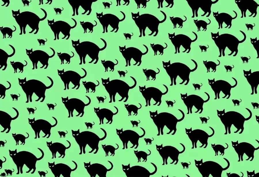 Test Your Vision: Find The Hidden Rat Among Cats Optical Illusion ...