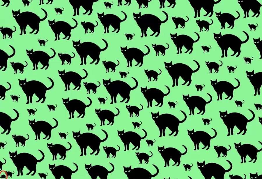 rats cats hidden animals optical illusions answers