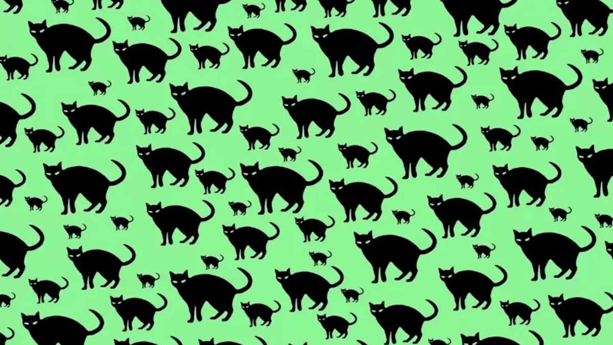 Test Your Vision: Find The Hidden Rat Among Cats Optical Illusion Picture In 8 Seconds!