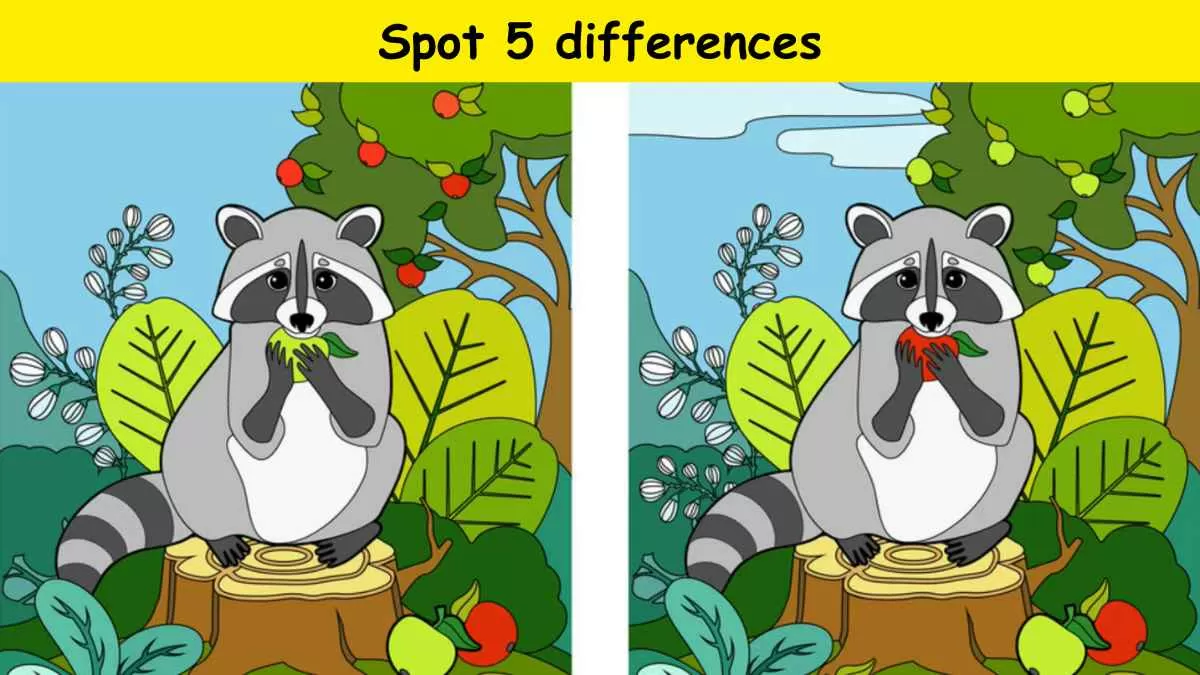 Can you spot 5 differences?                                