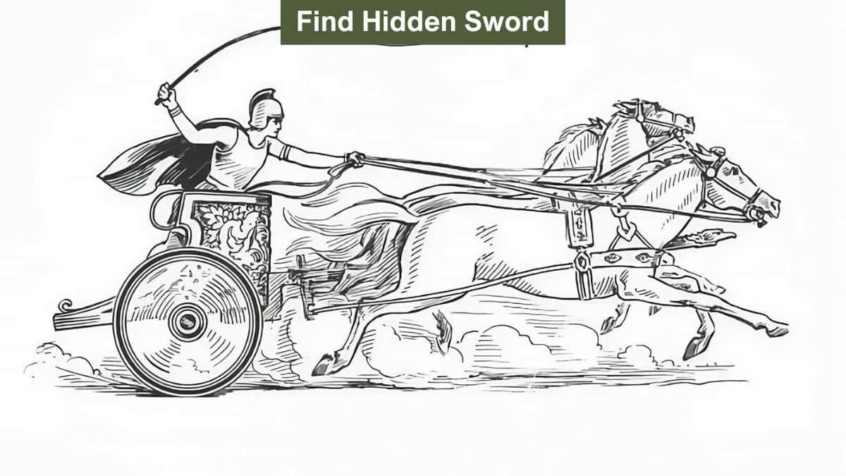 Optical Illusion to Test Your Vision: Find the soldier’s hidden sword in 9 seconds!