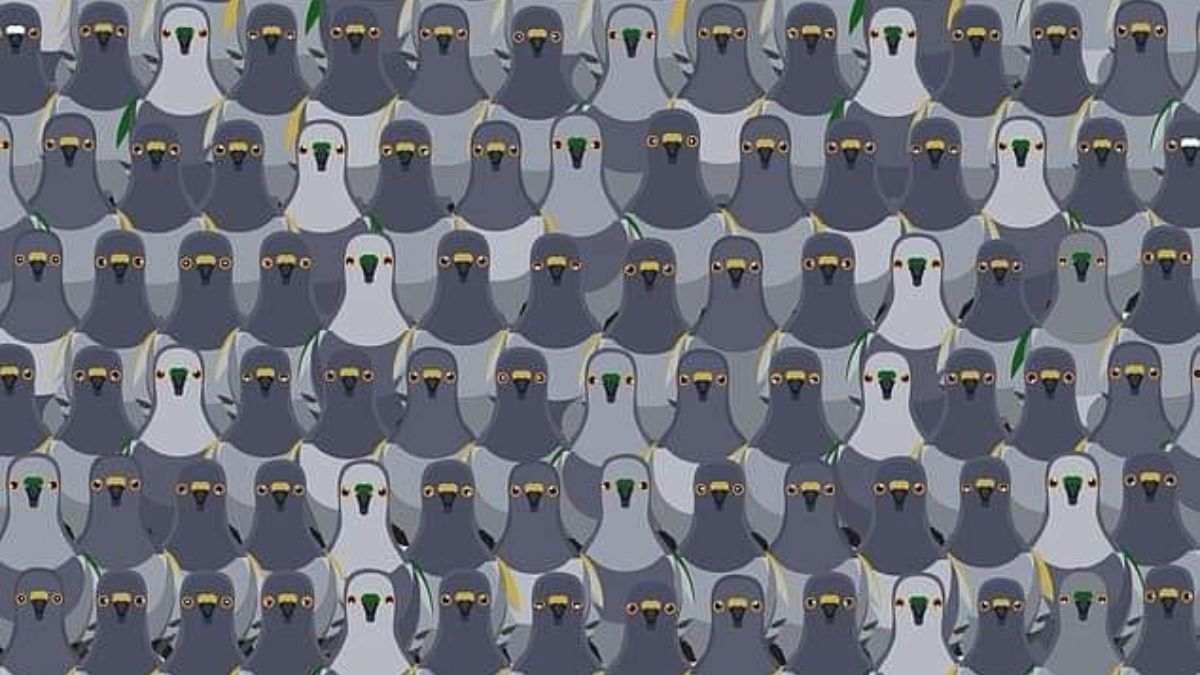 Optical Illusion for Testing Your IQ: Only 1% can spot the Cat hidden among Pigeons in picture within 7 secs!