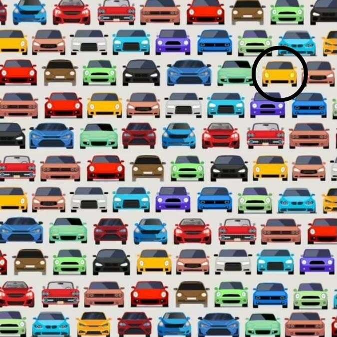 hidden optical illusions with answers