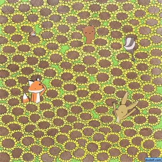 where is butterfly in picture