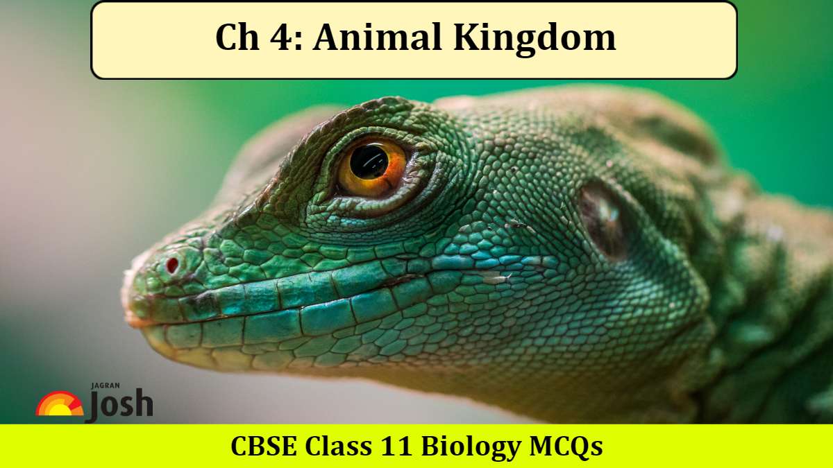 Important CBSE Class 11 Biology Chapter 4 Animal Kingdom MCQs 2024 PDF