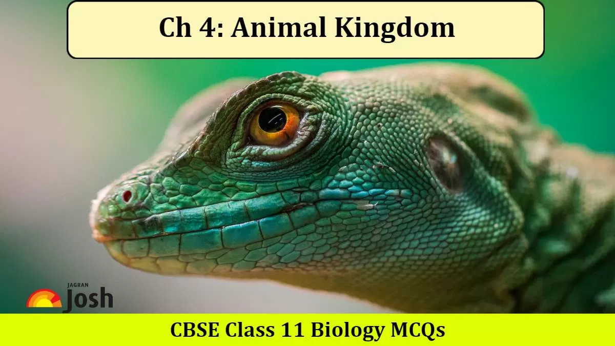 Important CBSE Class 11 Biology Animal Kingdom MCQs 2024: Check Bio