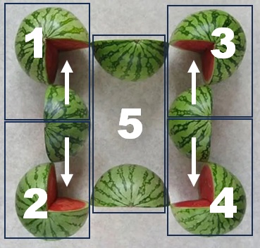 viral watermelon puzzle answer