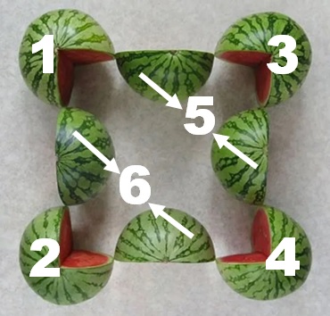 viral watermelon puzzle answer