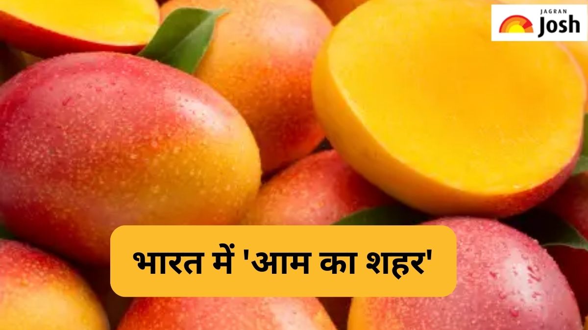 भारत के किस शहर को कहा जाता है ‘Mango City’, जानें 