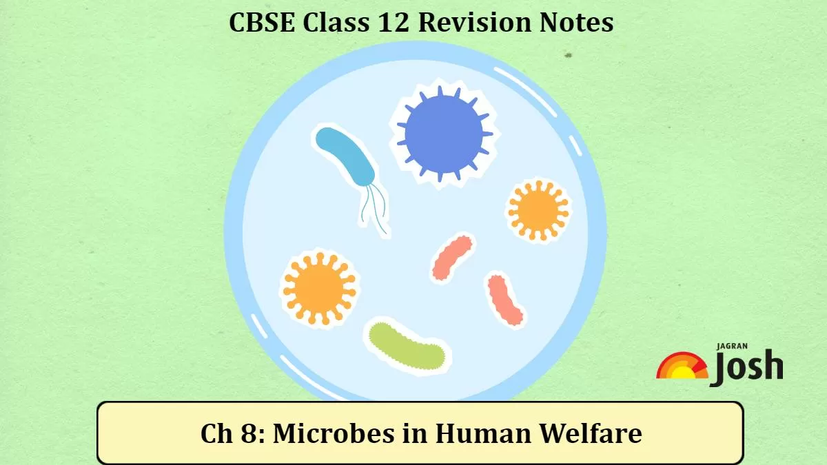 Download CBSE Class 12 Biology Chapter 8 Microbes in Human Welfare Revision Notes PDF