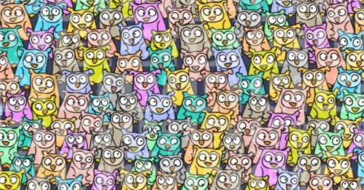 The Imposter Among the Owls! Try to Find the Hidden Pig 