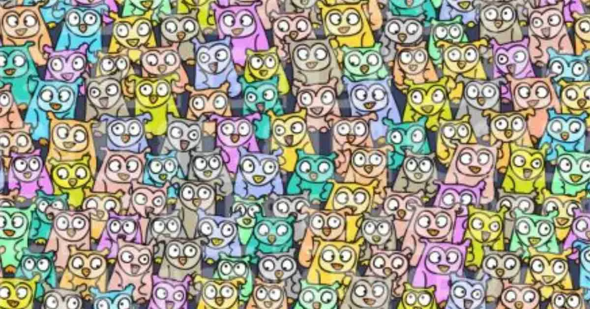 The Imposter Among the Owls! Try to Find the Hidden Pig